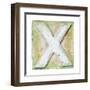 Wooden Alphabet Block, Letter X-donatas1205-Framed Art Print