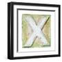 Wooden Alphabet Block, Letter X-donatas1205-Framed Art Print