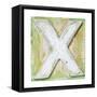 Wooden Alphabet Block, Letter X-donatas1205-Framed Stretched Canvas