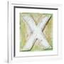 Wooden Alphabet Block, Letter X-donatas1205-Framed Art Print