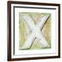 Wooden Alphabet Block, Letter X-donatas1205-Framed Art Print