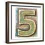 Wooden Alphabet Block, Number 5-donatas1205-Framed Art Print