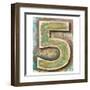 Wooden Alphabet Block, Number 5-donatas1205-Framed Art Print