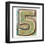 Wooden Alphabet Block, Number 5-donatas1205-Framed Art Print