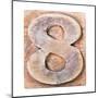 Wooden Alphabet Block, Number 8-donatas1205-Mounted Art Print