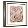 Wooden Alphabet Block, Number 8-donatas1205-Framed Art Print