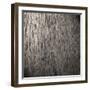 Wooden Background-Miro Novak-Framed Photographic Print