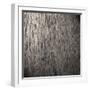 Wooden Background-Miro Novak-Framed Photographic Print
