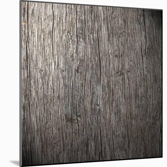 Wooden Background-Miro Novak-Mounted Photographic Print