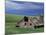 Wooden barn and silo, Lewiston, Idaho-Darrell Gulin-Mounted Photographic Print