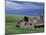 Wooden barn and silo, Lewiston, Idaho-Darrell Gulin-Mounted Photographic Print