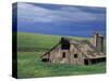 Wooden barn and silo, Lewiston, Idaho-Darrell Gulin-Stretched Canvas