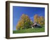 Wooden Barn Building and Trees in Fall Colours, Vermont, New England, USA-Rainford Roy-Framed Photographic Print