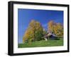 Wooden Barn Building and Trees in Fall Colours, Vermont, New England, USA-Rainford Roy-Framed Photographic Print