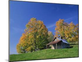 Wooden Barn Building and Trees in Fall Colours, Vermont, New England, USA-Rainford Roy-Mounted Photographic Print