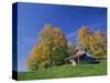 Wooden Barn Building and Trees in Fall Colours, Vermont, New England, USA-Rainford Roy-Stretched Canvas