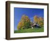 Wooden Barn Building and Trees in Fall Colours, Vermont, New England, USA-Rainford Roy-Framed Photographic Print