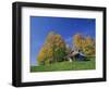 Wooden Barn Building and Trees in Fall Colours, Vermont, New England, USA-Rainford Roy-Framed Photographic Print