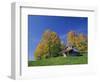 Wooden Barn Building and Trees in Fall Colours, Vermont, New England, USA-Rainford Roy-Framed Photographic Print