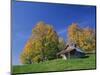 Wooden Barn Building and Trees in Fall Colours, Vermont, New England, USA-Rainford Roy-Mounted Photographic Print