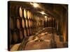 Wooden Barrels with Aging Wine in Cellar, Domaine E Guigal, Ampuis, Cote Rotie, Rhone, France-Per Karlsson-Stretched Canvas
