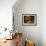 Wooden Barrels with Aging Wine in Cellar, Domaine E Guigal, Ampuis, Cote Rotie, Rhone, France-Per Karlsson-Framed Premium Photographic Print displayed on a wall