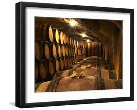 Wooden Barrels with Aging Wine in Cellar, Domaine E Guigal, Ampuis, Cote Rotie, Rhone, France-Per Karlsson-Framed Premium Photographic Print