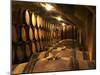 Wooden Barrels with Aging Wine in Cellar, Domaine E Guigal, Ampuis, Cote Rotie, Rhone, France-Per Karlsson-Mounted Premium Photographic Print