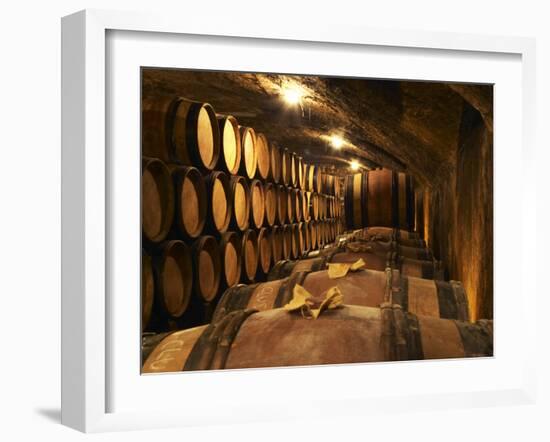 Wooden Barrels with Aging Wine in Cellar, Domaine E Guigal, Ampuis, Cote Rotie, Rhone, France-Per Karlsson-Framed Photographic Print