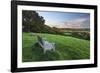 Wooden bench looking over green field countryside of High Weald on summer evening, Burwash-Stuart Black-Framed Photographic Print