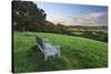 Wooden bench looking over green field countryside of High Weald on summer evening, Burwash-Stuart Black-Stretched Canvas