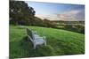 Wooden bench looking over green field countryside of High Weald on summer evening, Burwash-Stuart Black-Mounted Premium Photographic Print