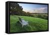 Wooden bench looking over green field countryside of High Weald on summer evening, Burwash-Stuart Black-Framed Stretched Canvas