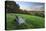 Wooden bench looking over green field countryside of High Weald on summer evening, Burwash-Stuart Black-Stretched Canvas
