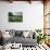 Wooden bench looking over green field countryside of High Weald on summer evening, Burwash-Stuart Black-Photographic Print displayed on a wall