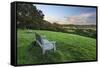 Wooden bench looking over green field countryside of High Weald on summer evening, Burwash-Stuart Black-Framed Stretched Canvas