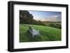 Wooden bench looking over green field countryside of High Weald on summer evening, Burwash-Stuart Black-Framed Photographic Print