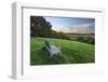 Wooden bench looking over green field countryside of High Weald on summer evening, Burwash-Stuart Black-Framed Photographic Print