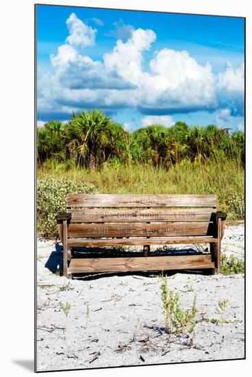 Wooden Bench overlooking a Florida wild Beach-Philippe Hugonnard-Mounted Premium Photographic Print