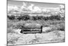 Wooden Bench overlooking a Florida wild Beach-Philippe Hugonnard-Mounted Photographic Print