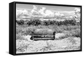 Wooden Bench overlooking a Florida wild Beach-Philippe Hugonnard-Framed Stretched Canvas