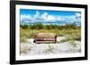 Wooden Bench overlooking a Florida wild Beach-Philippe Hugonnard-Framed Photographic Print