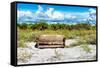 Wooden Bench overlooking a Florida wild Beach-Philippe Hugonnard-Framed Stretched Canvas