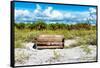 Wooden Bench overlooking a Florida wild Beach-Philippe Hugonnard-Framed Stretched Canvas