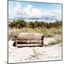 Wooden Bench overlooking a Florida wild Beach-Philippe Hugonnard-Mounted Premium Photographic Print