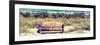 Wooden Bench overlooking a Florida wild Beach-Philippe Hugonnard-Framed Photographic Print