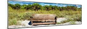 Wooden Bench overlooking a Florida wild Beach-Philippe Hugonnard-Mounted Photographic Print