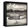 Wooden Bench overlooking a Florida wild Beach-Philippe Hugonnard-Framed Stretched Canvas