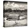 Wooden Bench overlooking a Florida wild Beach-Philippe Hugonnard-Stretched Canvas