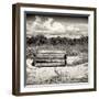 Wooden Bench overlooking a Florida wild Beach-Philippe Hugonnard-Framed Photographic Print